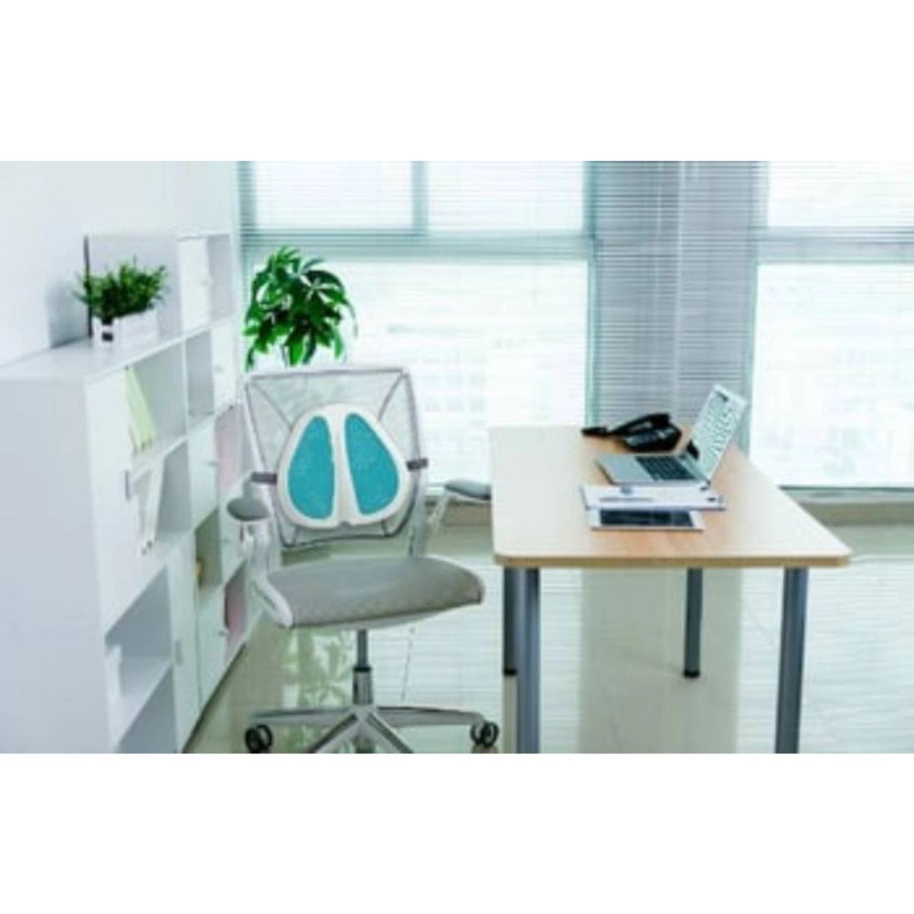 Contour Health Lumbar Cool Back Support